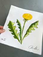 Håndlavet collografi | Mælkebøtte | Anette Zimmerlund