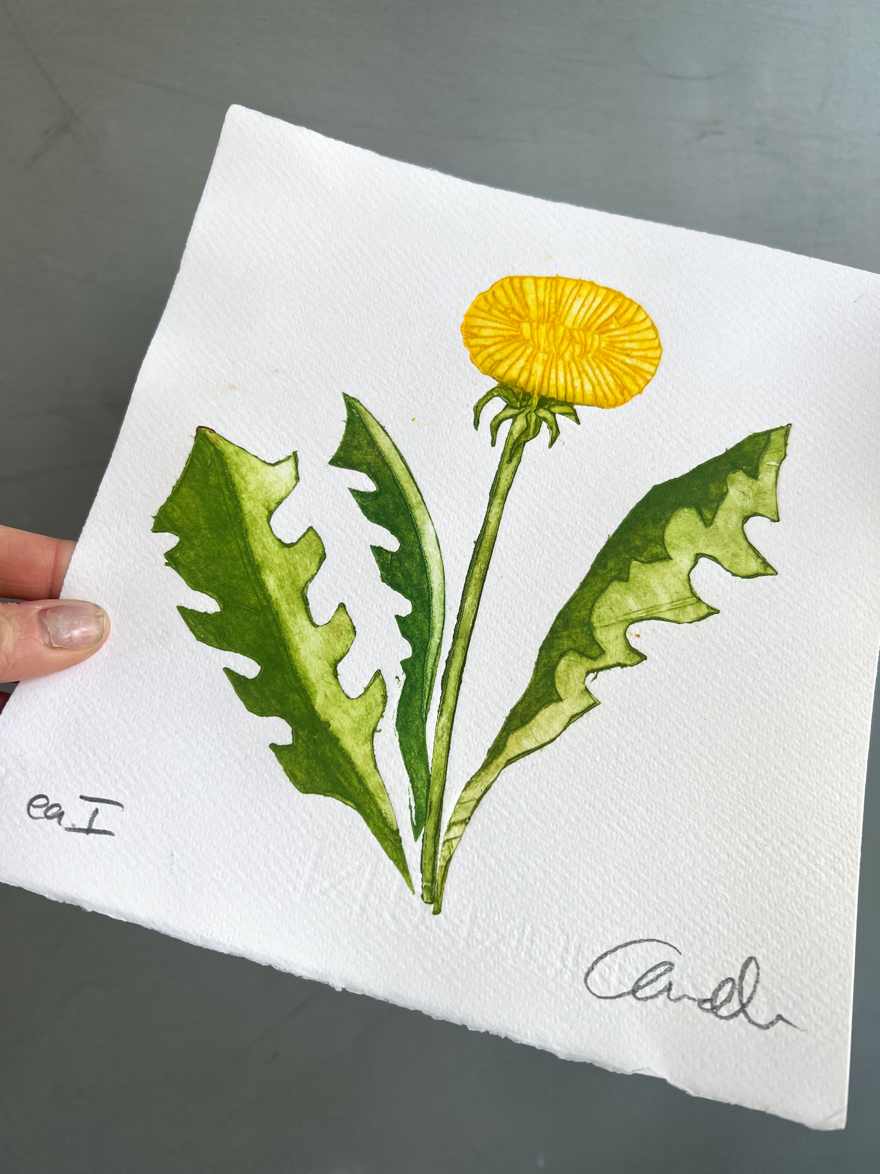 Håndlavet collografi | Mælkebøtte | Anette Zimmerlund