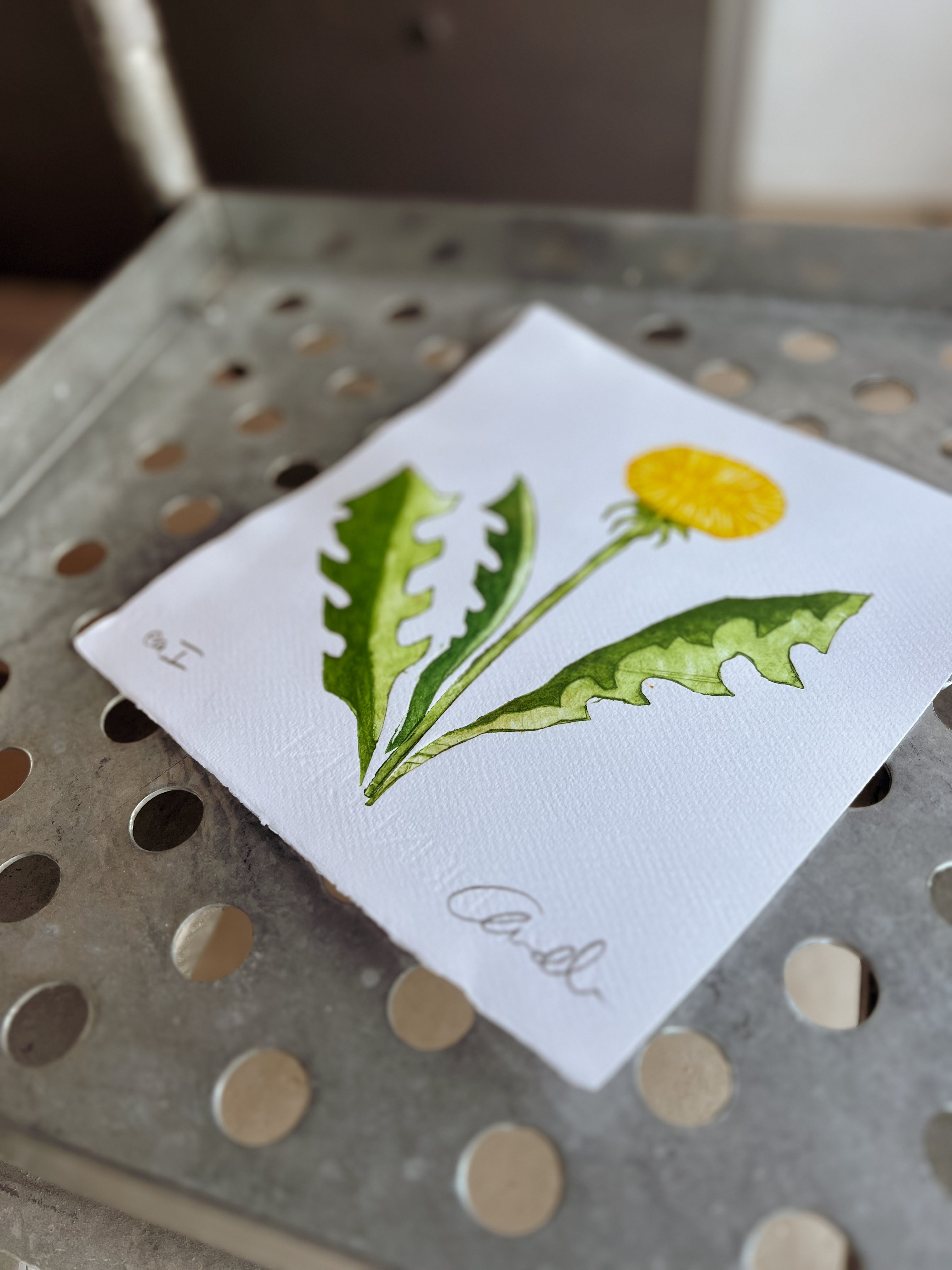 Håndlavet collografi | Mælkebøtte | Anette Zimmerlund