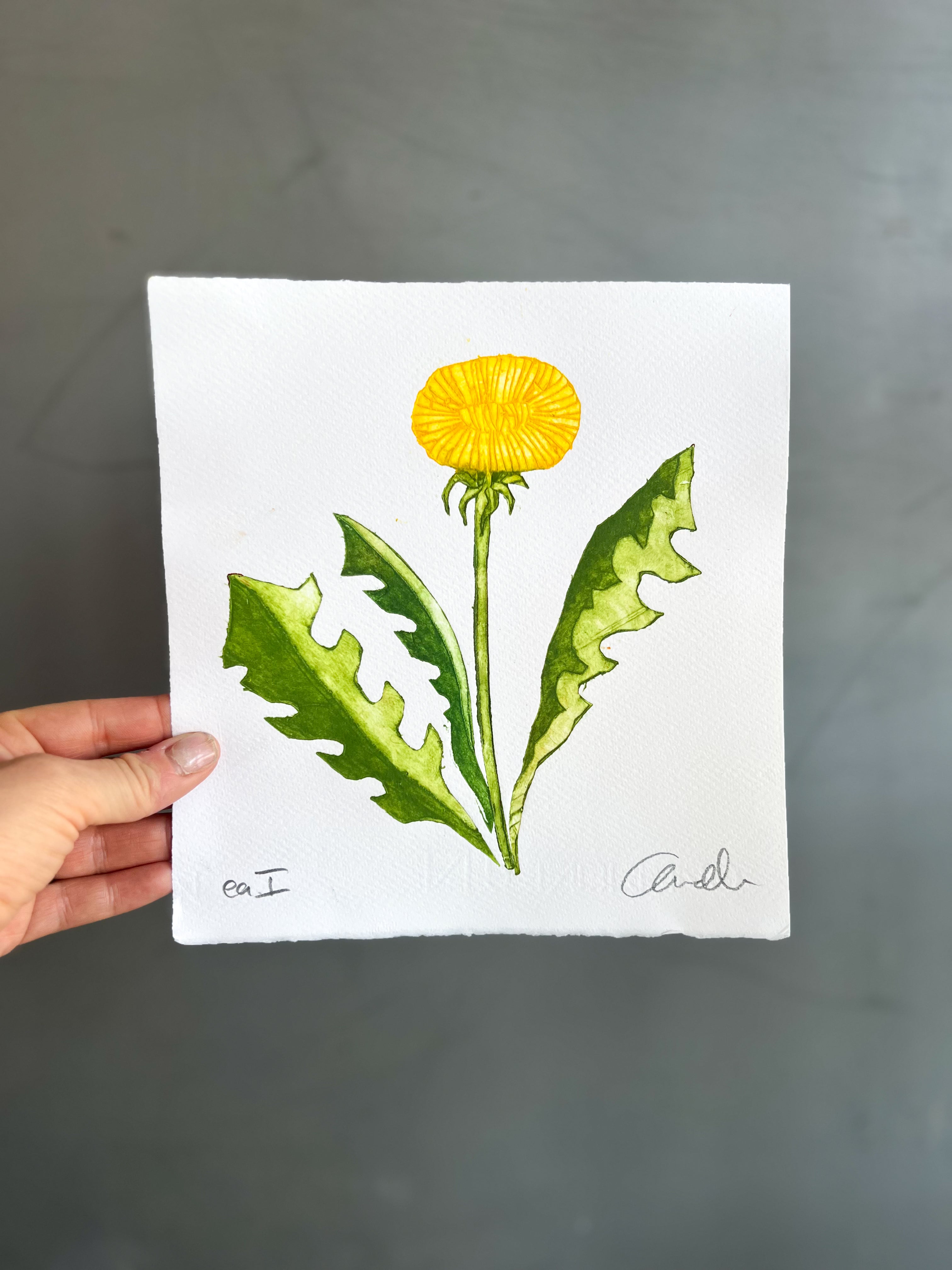 Håndlavet collografi | Mælkebøtte | Anette Zimmerlund