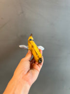 Håndlavet vægophæng i keramik | Bananflue | Anette Zimmerlund
