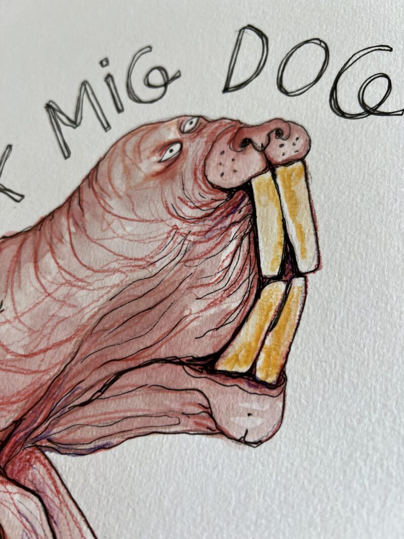 “Så elsk mig dog”, A3 - Billede 2
