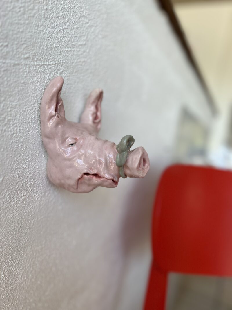 Toiletsvin #2 - Image 6